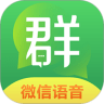 破解版vp n